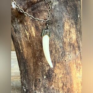 NWOT Faux Wolf Tooth Pendant With Metal Chain